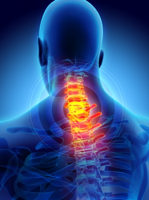 Illustration for article titled Advantages Connected With Utilizing The Services Of The Chiropractic Practitioner